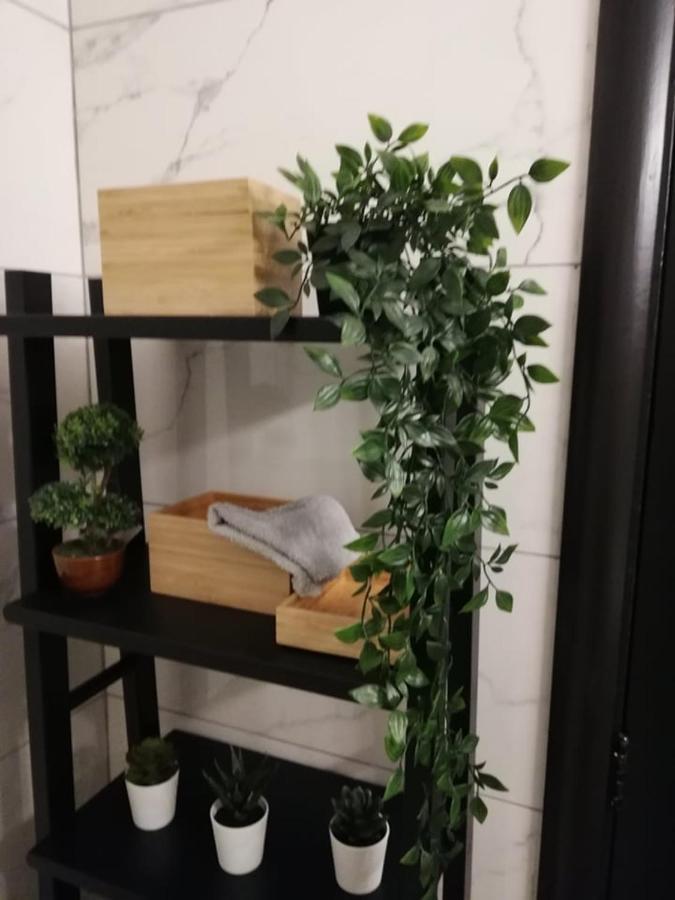 Ariadne Apartment 帕拉利米尼 外观 照片