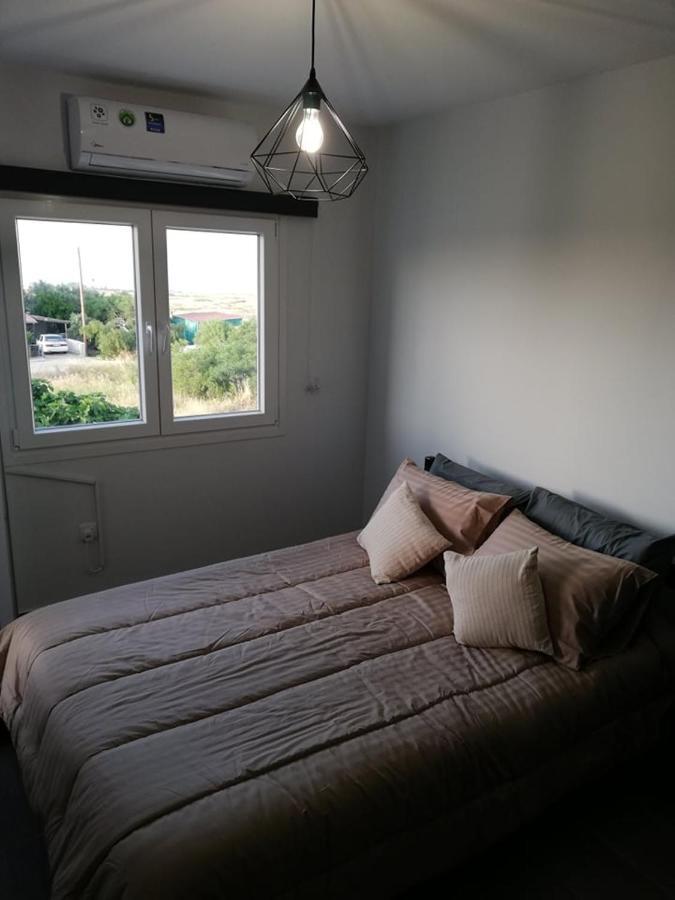 Ariadne Apartment 帕拉利米尼 外观 照片